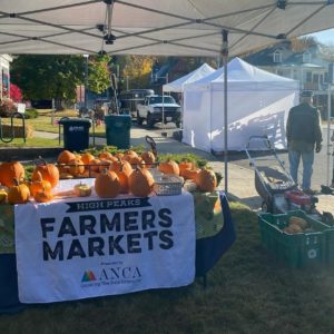 Farmers market table at Harvest Festival in Saranac Lake, New York